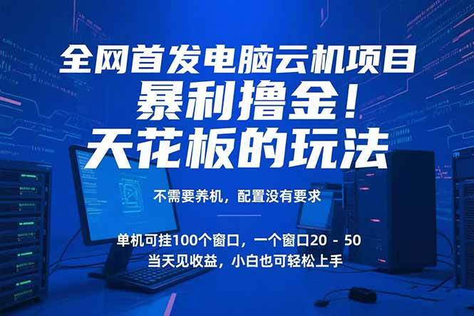 (15323期)电脑云机项目 暴力撸金玩法,不需要养机 配置没有要求 单机100个窗口一…-51云资源