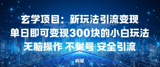 玄学项目：新玩法引流变现单日即可变现3张的小白玩法无脑操作不封号安全引流-51云资源