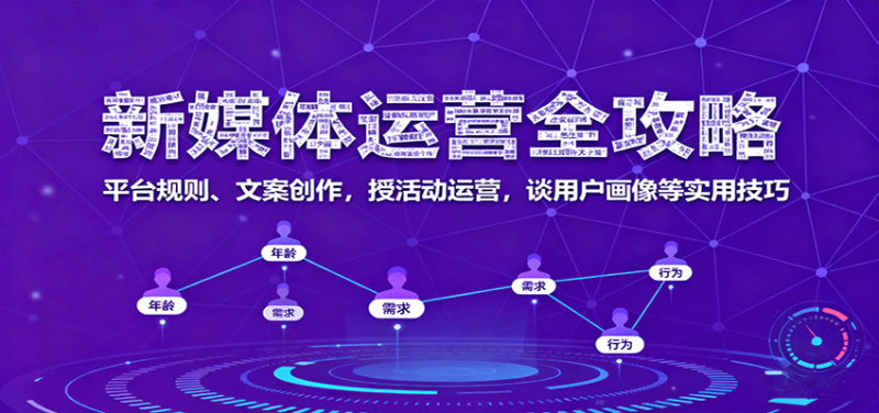 新媒体运营全攻略:平台规则、文案创作,授活动运营,谈用户画像等实用技巧-51云资源