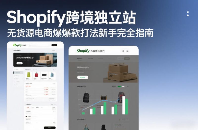 Shopify跨境独立站无货源电商爆款打法新手完全指南-51云资源