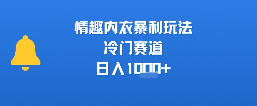 情趣内衣暴利玩法,冷门赛道,日入1k-51云资源