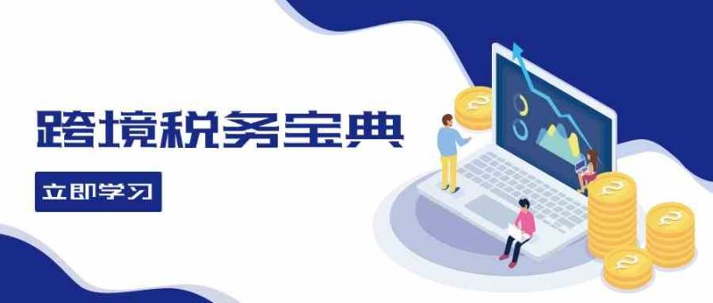 跨境税务宝典教程:跨境电商全球税务处理策略-51云资源