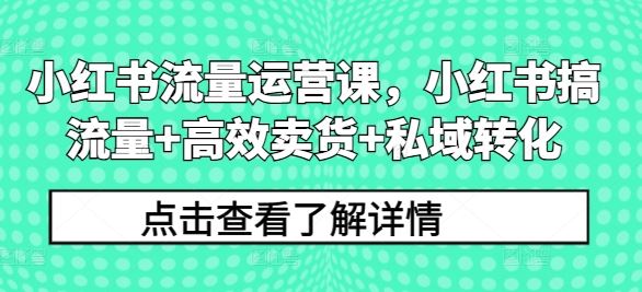 小红书流量运营课,小红书搞流量 高效卖货 私域转化-51云资源