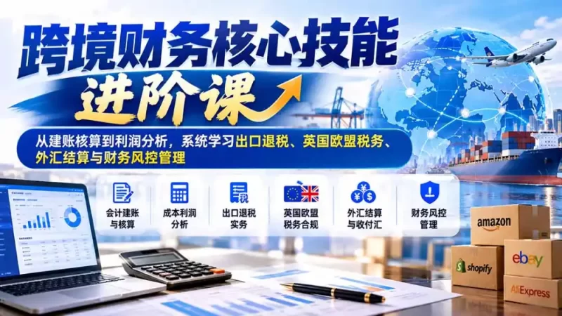 跨境财务核心技能进阶课:从建账核算到利润分析,系统学习出口退税、英国欧盟税务、外汇结算与财务风控管理-51云资源