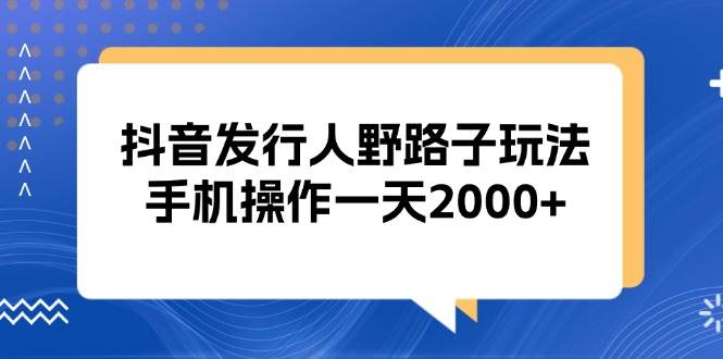(13220期)抖音发行人野路子玩法,手机操作一天2000-51云资源