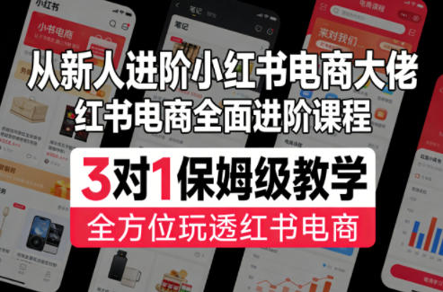 从新人进阶小红书电商大佬,红书电商全面进阶课程,3对1保姆级教学,全方位玩透红书电商-51云资源
