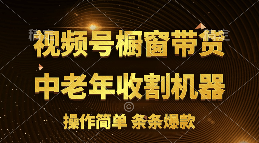 （11009期）[你的孩子成功取得高位]视频号最火爆赛道，橱窗带货，流量分成计划，条…-51云资源
