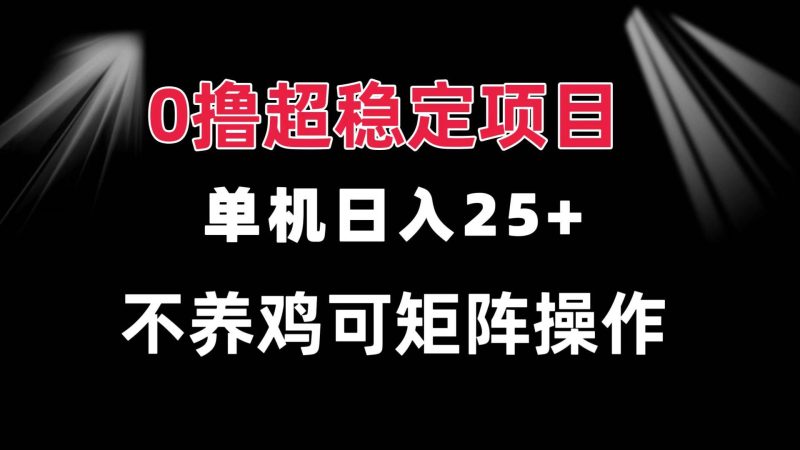 （13355期）0撸项目 单机日入25  可批量操作 无需养鸡 长期稳定 做了就有-51云资源