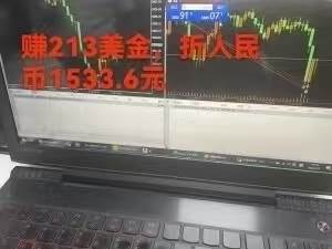 （15632期）稳定8年的美刀搬砖项目，单人每日收益800—3000.团队4人月入10W .可线下