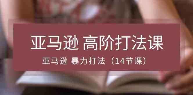 亚马逊高阶打法课,亚马逊暴力打法(14节课)
