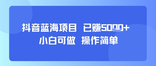 抖音蓝海项目，小白可做，操作简单，可批量制作，已挣5k-51云资源