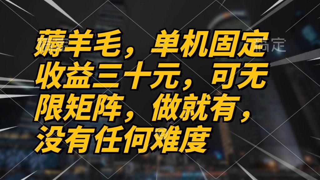 （13162期）薅羊毛项目，单机三十元，做就有，可无限矩阵 无任何难度-51云资源