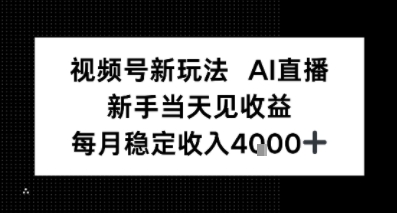 视频号新玩法AI直播，新手小白当天见收益，月入4k-51云资源
