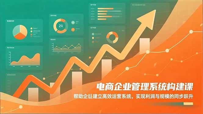 (16643期)电商企业管理系统构建课:帮助企业建立高效运营系统,实现利润与规模的同步跃升-51云资源
