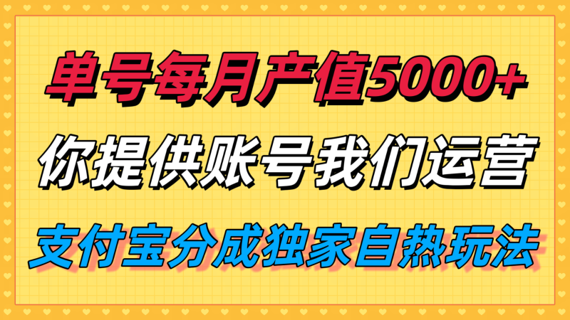 单月产值5000 ，支付宝分成代运营，你提供账号坐等分钱，我们帮你运营-51云资源