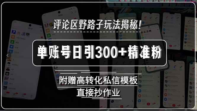 (15466期)评论区野路子玩法揭秘!单账号日引300 精准粉,附赠高转化私信模板,直…-51云资源
