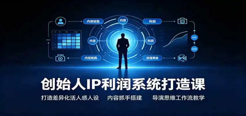 创始人IP利润系统打造课:打造差异化活人感人设,内容抓手搭建,导演思维工作流教学-51云资源