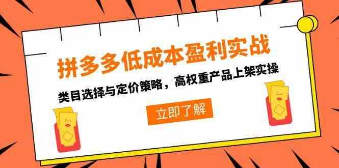 拼多多低成本盈利实战，类目选择与定价策略，高权重产品上架实操-51云资源