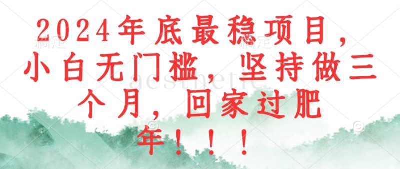 (12970期)2024年底最稳项目,小白无门槛,坚持做三个月,回家过肥年!!!-51云资源