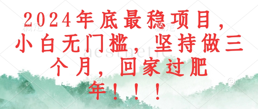 (12970期)2024年底最稳项目,小白无门槛,坚持做三个月,回家过肥年!!!
