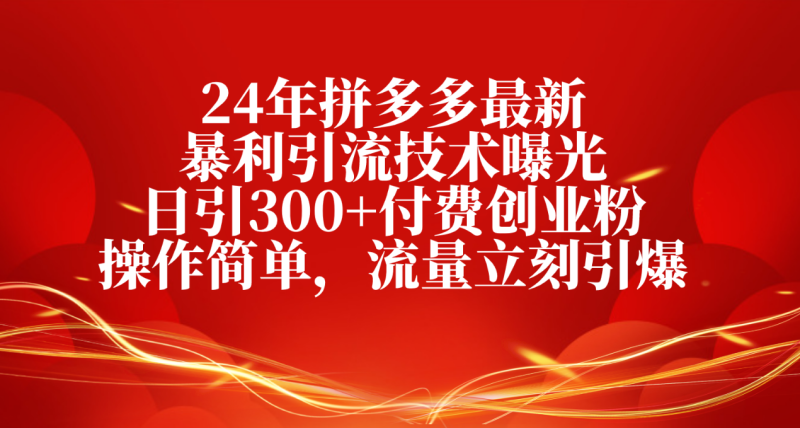 (10559期)24年拼多多最新暴利引流技术曝光,日引300 付费创业粉,操作简单,流量…-51云资源