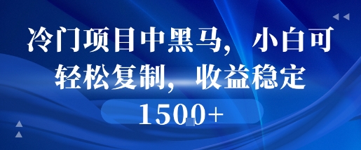冷门项目中黑马，小白可轻松复制，收益稳定1.5k-51云资源