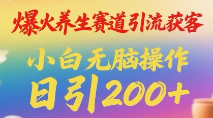 爆火养生赛道引流获客，小白无脑操作，日引200-51云资源