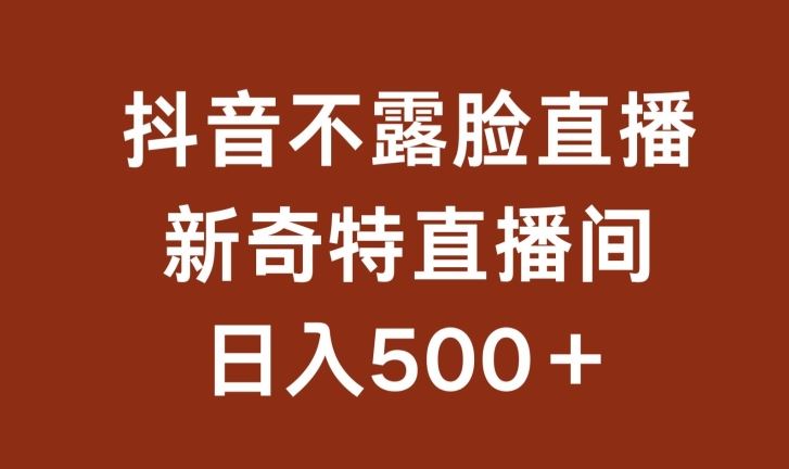 不露脸挂机直播,新奇特直播间,日入500 【揭秘】