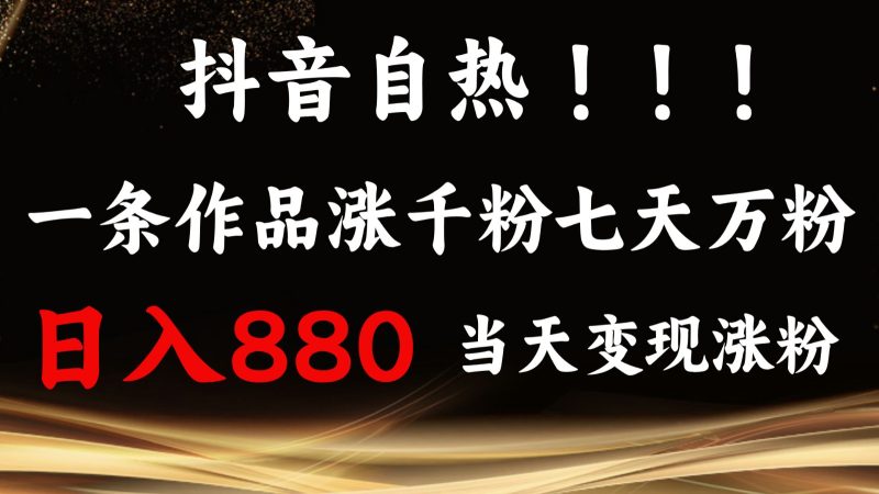 抖音小红书自热，一条作品1000粉，7天万粉，单日变现880收益-51云资源