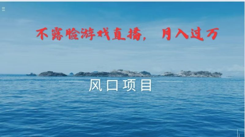 不露脸不出镜，玩转找茬游戏，普通人实现月入过万的好项目-51云资源