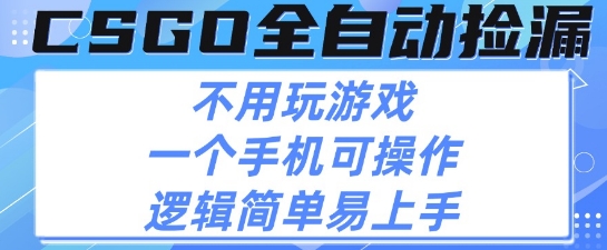 CSGO自动捡漏项目，最新独家玩法，不用挂G不用玩游戏，一个手机即可操作，新手小白轻松月入1W 【揭秘】-51云资源