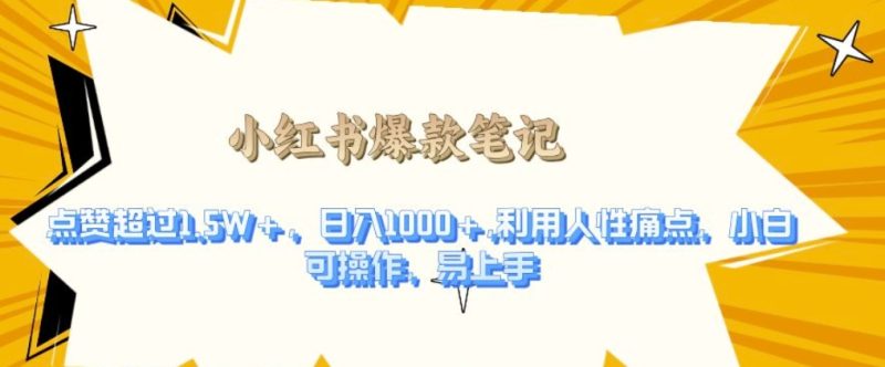 利用人性的痛点,打造爆款笔记,获得点赞超过1.5W ,日入1k【揭秘】-51云资源