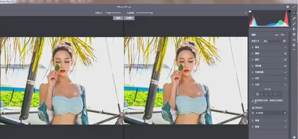 RAW处理Adobe Camera Raw v18.7.0中文版-51云资源