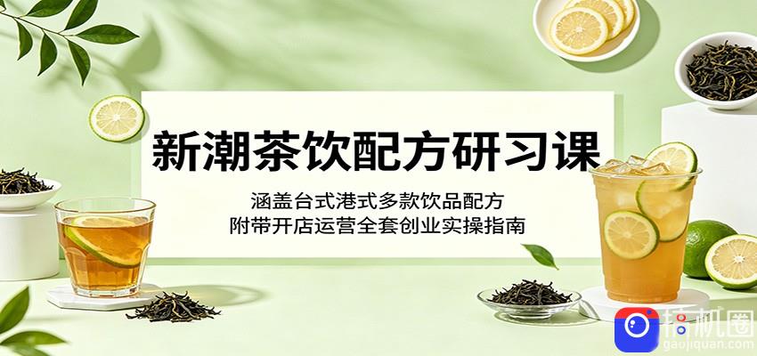 新潮茶饮配方研习课：涵盖台式港式多款饮品配方，附带开店运营全套创业实操指南-51云资源