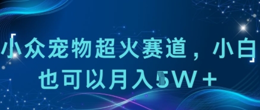 小众宠物超火赛道，小白也可以月入1w-51云资源