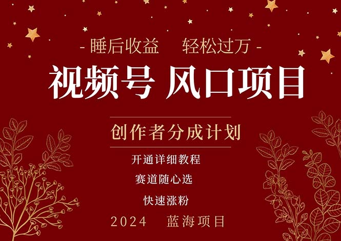 (11331期)拥有睡眠收益的微信视频号大风口项目,轻松月入过万 ,多赛道选择,可…-51云资源