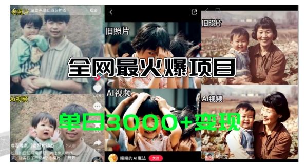 全网爆火的AI让老照片动起来教程,蹭热点日赚3k ,内含免费工具一键可生成【揭秘】-51云资源