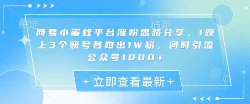 网易小蜜蜂平台涨粉思路分享，1晚上3个账号各跑出1W粉，同时引流公众号1000-51云资源