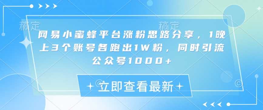 网易小蜜蜂平台涨粉思路分享,1晚上3个账号各跑出1W粉,同时引流公众号1000-51云资源