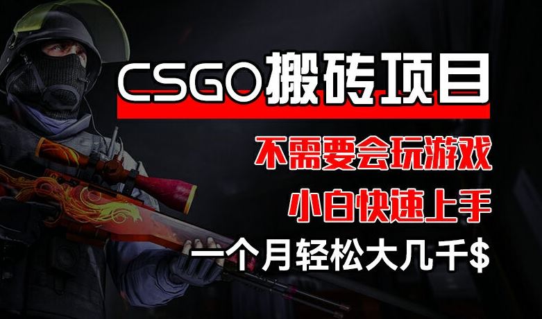 CSGO 装备搬砖项目,操作简单,不需要会玩游戏,小白也能快速上手,一个月轻松大几千【揭秘】-51云资源