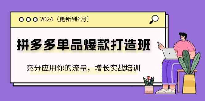 2024拼多多单品爆款打造班，充分应用你的流量，增长实战培训(更新6月)-51云资源