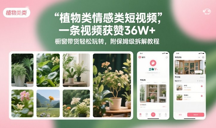 植物类情感类短视频，一条视频获赞36W ，橱窗带货轻松玩转，附保姆级拆解教程-51云资源