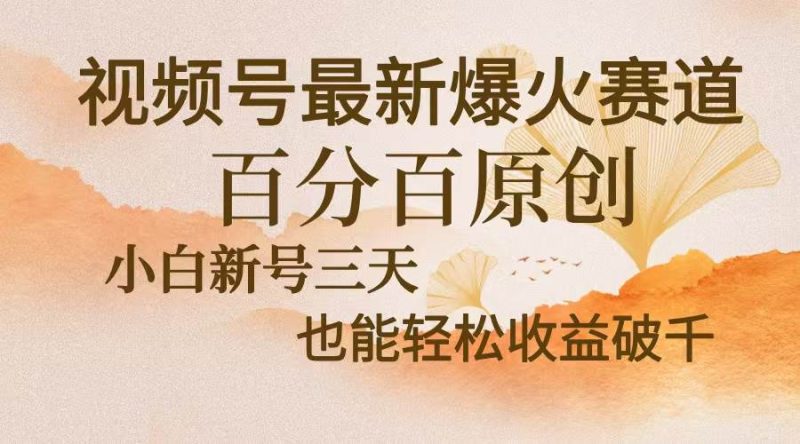 （13225期）视频号最新爆火赛道，中老年粉深信不疑，百分百原创，新号三天收益轻松…-51云资源