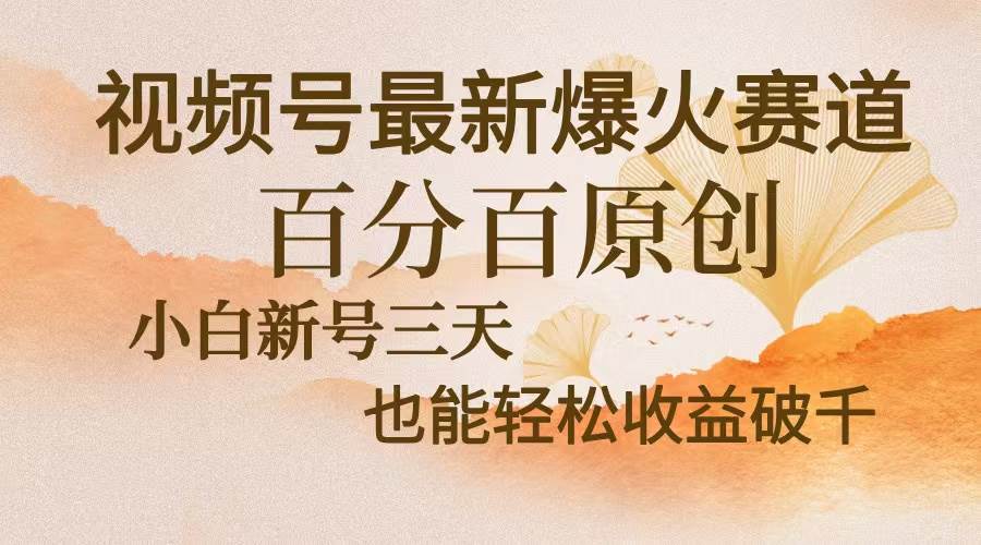 （13225期）视频号最新爆火赛道，中老年粉深信不疑，百分百原创，新号三天收益轻松…-51云资源