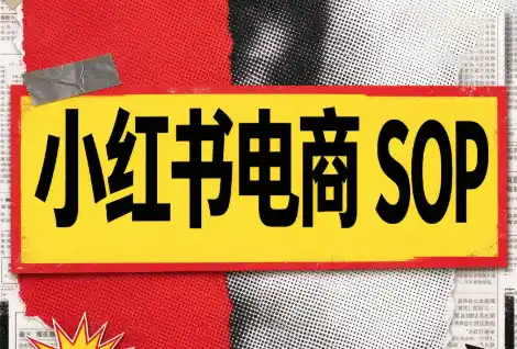 书豪必胜小红书电商sop(更新9月)-51云资源