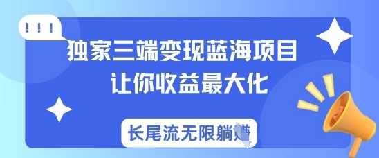 独家三端变现蓝海项目，让你收益最大化，长尾流无限躺挣-51云资源