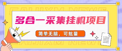 多合一采集项目，无脑操作，简单批量-51云资源