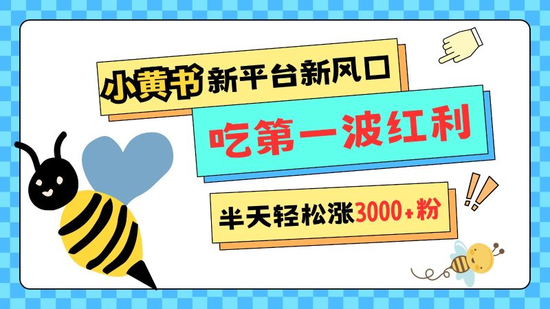 小黄书重磅来袭，新平台新风口，管理宽松，半天轻松涨3000粉，第一波红利等你来吃-51云资源