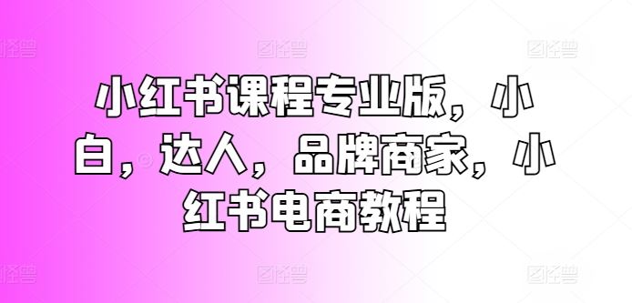 小红书课程专业版，小白，达人，品牌商家，小红书电商教程-51云资源