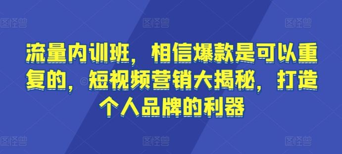 流量内训班，相信爆款是可以重复的，短视频营销大揭秘，打造个人品牌的利器-51云资源